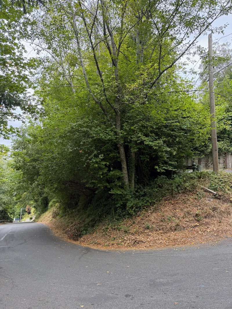 Photograph taken at Endolyne Park